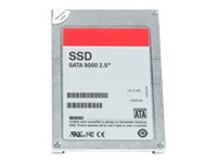 Dell - SSD - 256 GB - SATA 3Gb/s V244Y