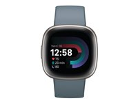 Fitbit Versa 4 - platina - smart klocka med band - waterfall blue FB523SRAG