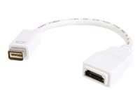 StarTech.com Mini DVI to HDMI Video Adapter for Macbooks and iMacs- M/F - MacBook Mini DVI Adapter - Mini DVI to HDMI Cable (MDVIHDMIMF) - videokort - HDMI / DVI - 20 cm MDVIHDMIMF