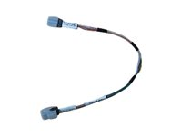HP - mini-SAS-kabel 620759-001