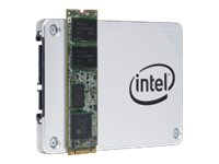 Intel Solid-State Drive Pro 5400s Series - SSD - 480 GB - SATA 6Gb/s SSDSCKKF480H6X1