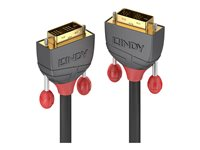 Lindy Anthra Line - DVI-kabel - DVI-D till DVI-D - 25 m 36243