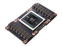 NVIDIA Tesla V100 - GPU-beräkningsprocessor - Tesla V100 - 16 GB Q2N66A