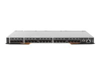 Lenovo Flex System FC5022 16Gb SAN Scalable Switch - switch - 48 portar - Administrerad - insticksmodul 88Y6374