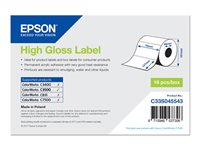 Epson - matrisskurna etiketter - högblank - 250 etikett (er) - 76 x 127 mm C33S045543