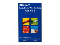 Brady - etiketter - matt - 450 etikett (er) - 5.5 x 38 mm PWS-PK-3