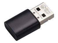 Ricoh Interface Unit Type P16 - printserver - USB 408299