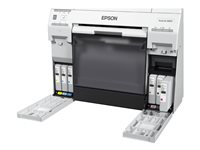 Epson T43U - ljus cyan - original - bläckpatron C13T43U540