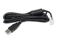 APC - USB-kabel - USB till RJ-45 (10 pin) - 1.8 m AP9827