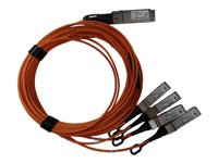 HPE Active Optical Cable - 40GBase direktkopplingskabel - 5 m Q9S66A