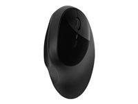 Kensington Pro Fit Ergo Wireless Mouse - mus - 2.4 GHz, Bluetooth 4.0 LE - svart K75404EU