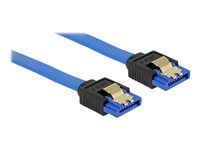 Delock SATA-kabel - 50 cm 84979