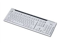 Fujitsu KB500 - tangentbord - spansk - marmorgrå S26381-K500-L180