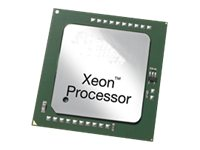 Intel Xeon E5-2403 / 1.8 GHz processor 319-1135