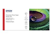 Epson Production - fotopapper - blank - 1 rulle (rullar) - Rulle (111,8 cm x 30 m) - 200 g/m² C13S450373