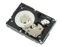 Dell - Kundsats - hårddisk - 12 TB - SATA 6Gb/s 161-BBGK