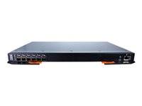 Lenovo Flex System FC3171 8Gb SAN Switch - switch - 20 portar - Administrerad - insticksmodul 69Y1933