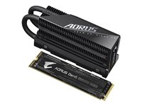 AORUS 10000 - SSD - 2 TB - PCI Express 5.0 x4 (NVMe) AG510K2TB