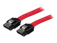 StarTech.com 24in Latching SATA Cable - SATA cable - Serial ATA 150/300/600 - SATA (R) to SATA (R) - 2 ft - latched - red (LSATA24) - SATA-kabel - 61 cm LSATA24