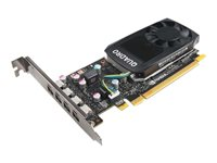 NVIDIA Quadro P600 - grafikkort - Quadro P600 - 2 GB 4X60N86659