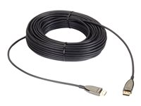 Black Box Active Optical Cable - DisplayPort-kabel - DisplayPort till DisplayPort - 100 m AOC-HL-DP4-100M