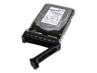 Dell Nearline - hårddisk - 2 TB - SAS 342-1818