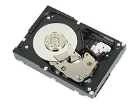 Dell Nearline - hårddisk - 2 TB - SAS 6Gb/s 4JKT9