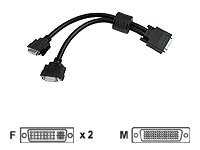 Matrox DVI-kabel - 30 cm CAB-L60-2XDF