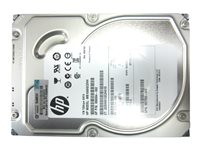 HPE Midline - hårddisk - 1 TB - SATA 6Gb/s 659569-001