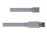 Teltonika Console cable - seriell RS-232-kabel - 1.8 m PR2UR18M