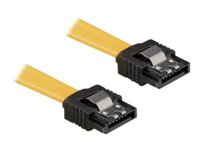 Delock Cable SATA - SATA-kabel - 30 cm 82473