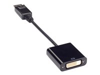 Black Box - videokort - DisplayPort till DVI-D VA-DP-DVID-A
