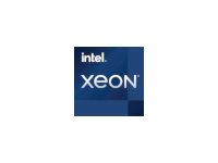 Intel Xeon W-3335 / 3.4 GHz processor - OEM CD8068904708401