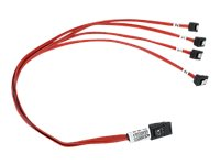 Fujitsu SATA/SAS-kabel - 60 cm T26139-Y3964-V101