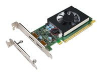 NVIDIA GeForce GT730 - grafikkort - GF GT 730 - 2 GB 4X60M97031