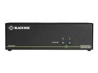 Black Box SECURE NIAP - Single-Head - omkopplare för tangentbord/video/mus/ljud - 2 portar - TAA-kompatibel SS2P-SH-DP-U