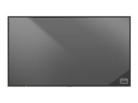 NEC MultiSync M321 PG - M Series - LED-skärm - Full HD (1080p) - 32" 60005605