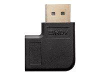 Lindy - DisplayPort-adapter - DisplayPort till DisplayPort 41334