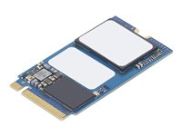 Lenovo - SSD - 256 GB - PCIe 3.0 x4 (NVMe) 4XB1E26214