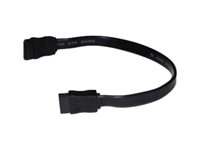 HP SATA-kabel - 22 cm 591600-001
