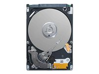 Dell Encrypted - hårddisk - 320 GB 342-3331