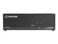 Black Box SECURE NIAP - Single-Head - omkopplare för tangentbord/video/mus/ljud - 2 portar - TAA-kompatibel SS2P-SH-DP-UCAC