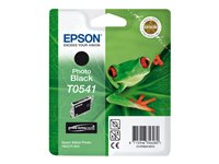 Epson T0541 - foto-svart - original - bläckpatron C13T05414020