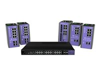 Extreme Networks ExtremeSwitching ISW-24W-4X - switch - industriell - 28 portar - Administrerad - rackmonterbar ISW-24W-4X