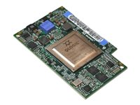 QLogic 8Gb Fibre Channel Expansion Card (CIOv) for Lenovo BladeCenter - värdbussadapter - PCIe 2.0 - 8Gb Fibre Channel 44X1948