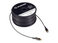 Black Box Active Optical Cable - HDMI-kabel - 50 m AOC-HL-H2-50M