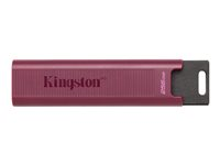 Kingston DataTraveler Max - USB flash-enhet - 256 GB DTMAXA/256GB