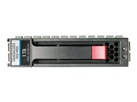 HPE Dual Port Midline - hårddisk - 750 GB - SAS 461135-B21