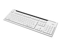 Fujitsu KB520 - tangentbord - amerikansk - marmorgrå S26381-K520-L102