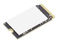 Lenovo - SSD - 256 GB - PCIe 4.0 x4 4XB1N36071